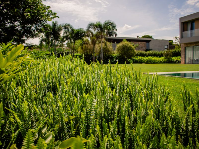 Jardim Q66, Paisagismo Orgânico com Linhas Suaves - FBV-3