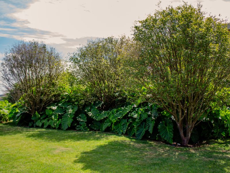 Jardim Q66, Paisagismo Orgânico com Linhas Suaves - FBV-4