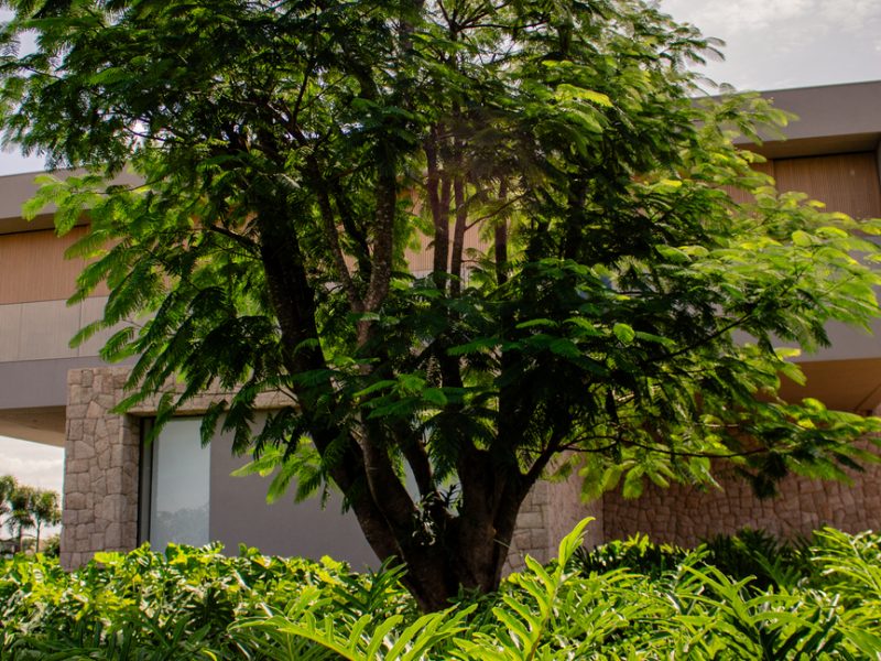 Jardim Q66, Paisagismo Orgânico com Linhas Suaves - FBV