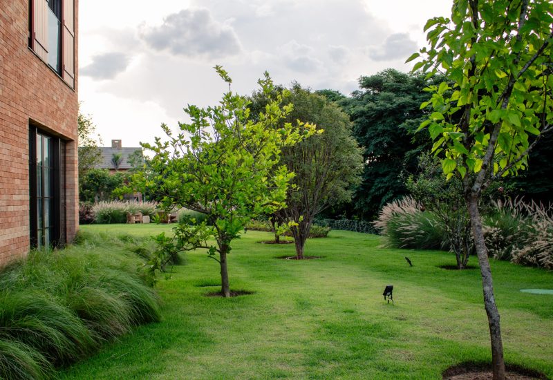 Paisagismo B01 – Fazenda Boa Vista - Porto Feliz -1