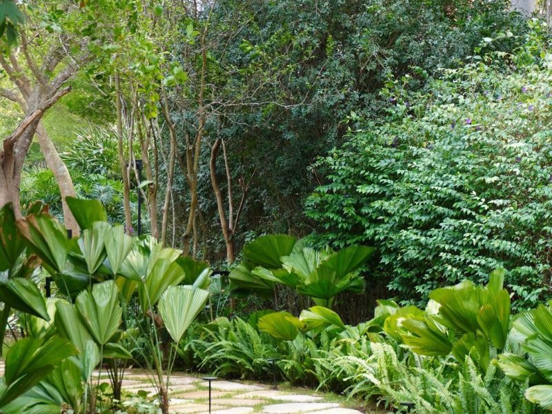 Q09, Paisagismo Residencial com Atmosfera Acolhedora - FBV-5