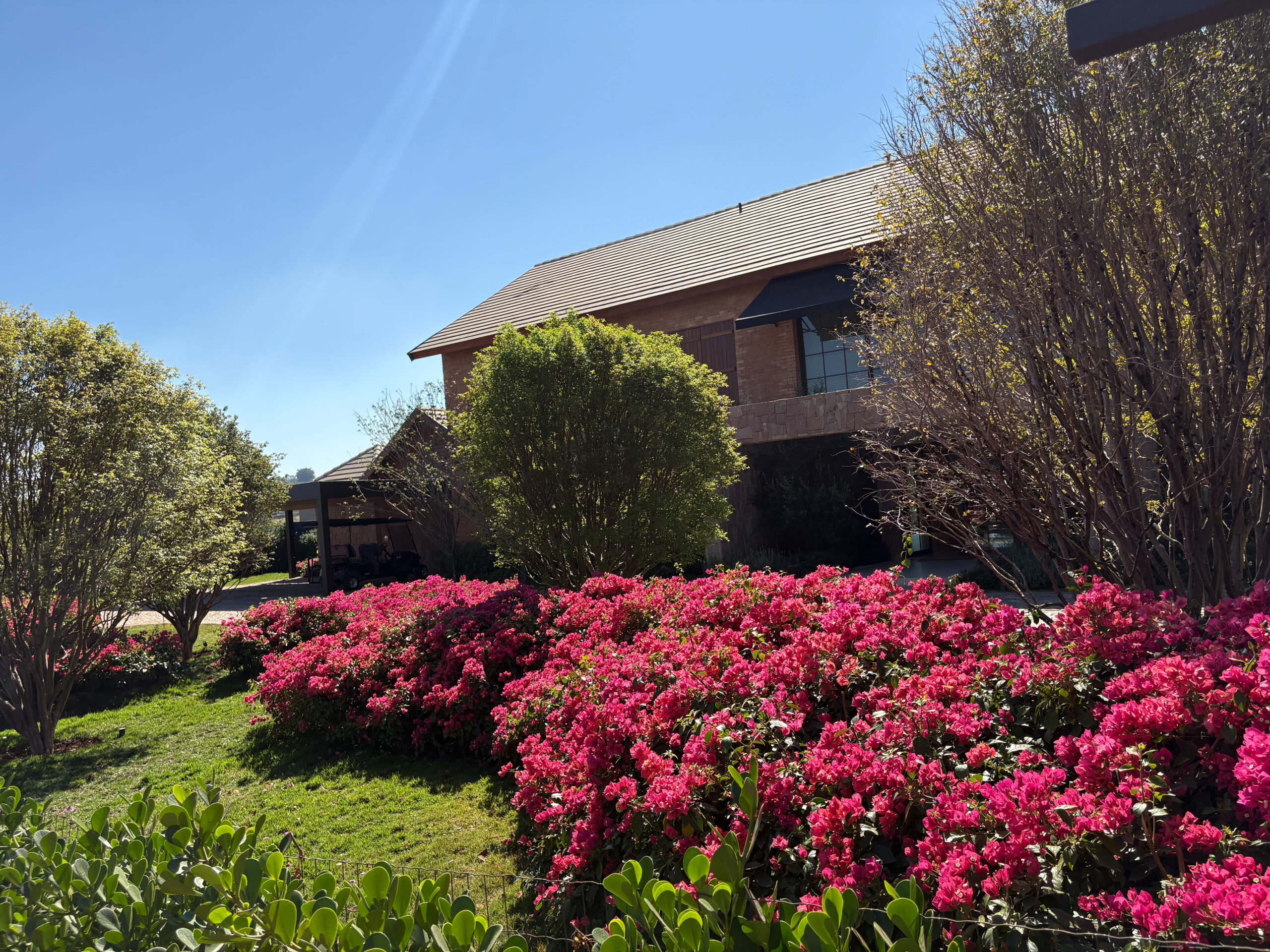 Garden-House-02-Paisagismo (11)